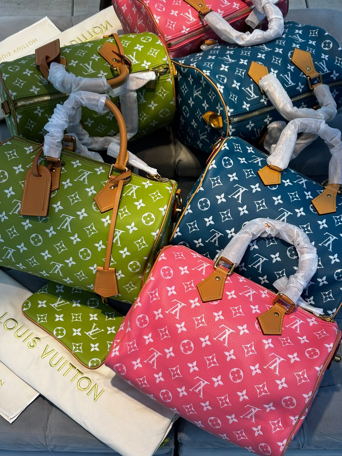 Bolsa Louis Vuitton Speedy colorida 